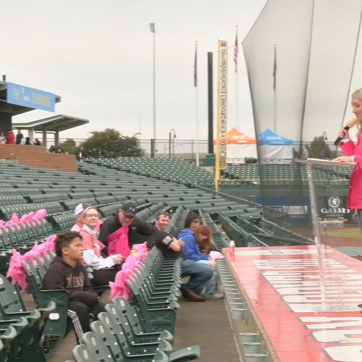 SUSAN KOMEN WALK.jpeg